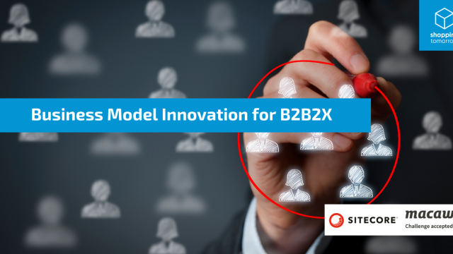 Interview over Business Model Innovation for B2B2X