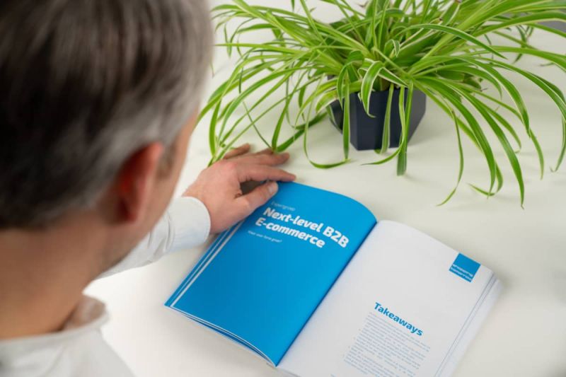 ShoppingTomorrow boek, hoofdstuk Next-level B2B E-commerce