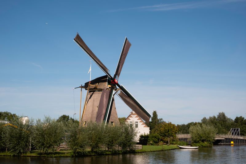 Nederlandse webshops