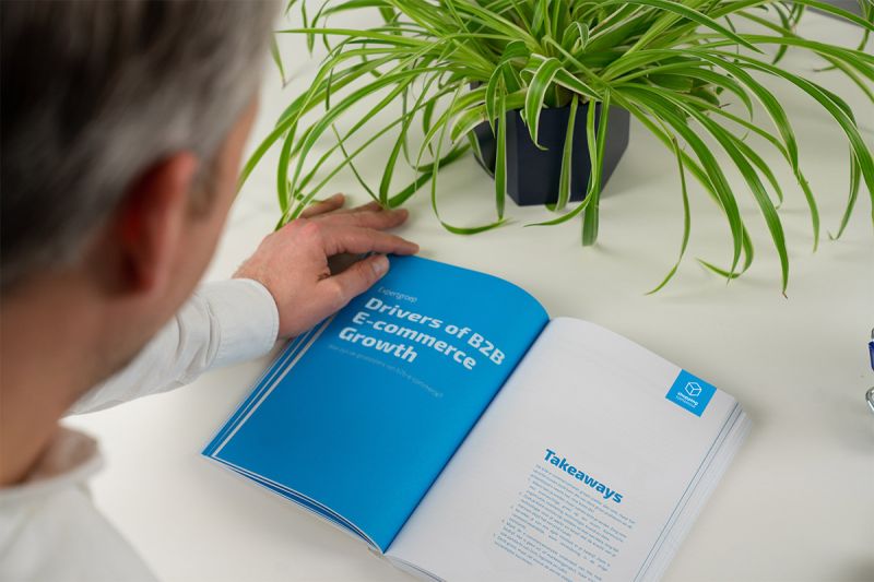 Bluepapers 2020 Drivers of B2B