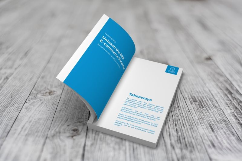 Unleash-the-B2B-ecommerce-potential
