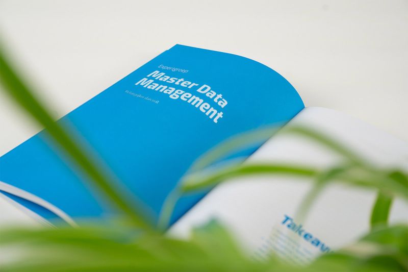 Bluepaper 2020 Master Data Management