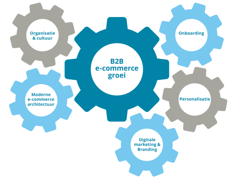tandwielen b2b e-commerce groei